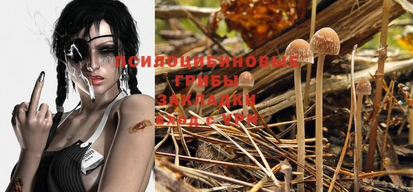 тгк Навашино