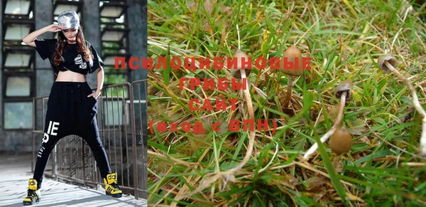 герыч Надым