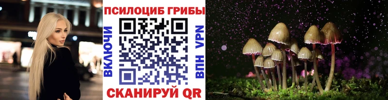 Псилоцибиновые грибы прущие грибы Купить закладки Балашиха