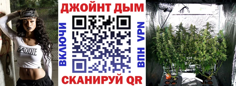 Марихуана план  Купить  Балашиха 